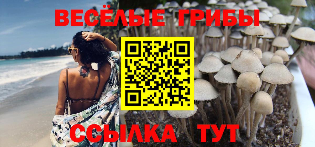 Псилоцибиновые грибы прущие грибы  Вход с VPN  Иркутск 